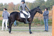 IGV Kleve