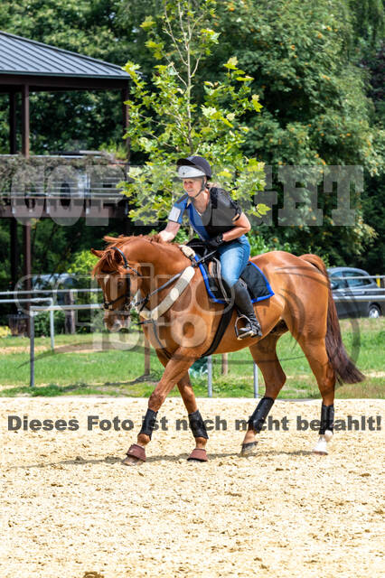 Hunter Geländetraining 10.07.2021 (Sonsbeck)