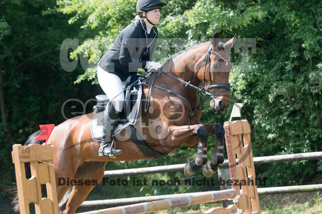 Vielseitigkeitsturnier ZRuFV von Lützow Hamminkeln