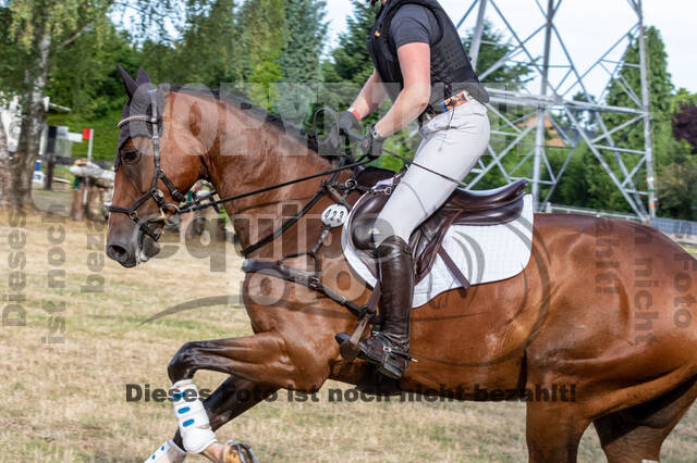 Late-Entry Vielseitigkeit Hamminkeln/Wesel (01.+02.08.2020)