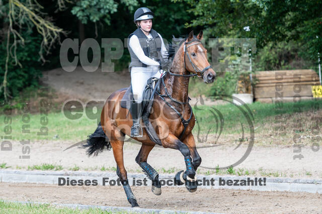 Late-Entry-Vielseitigkeit Langenfeld (11.+13./14.06.2020)