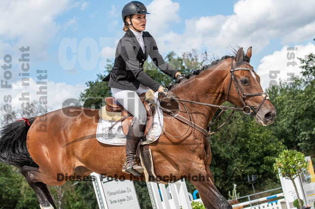 Landesturnier Rheinland, Vielseitigkeit, 22.+23.08.2020