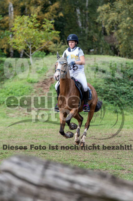 Vielseitigkeit RSV Wesel Obrighoven (26.+27.09.2020)