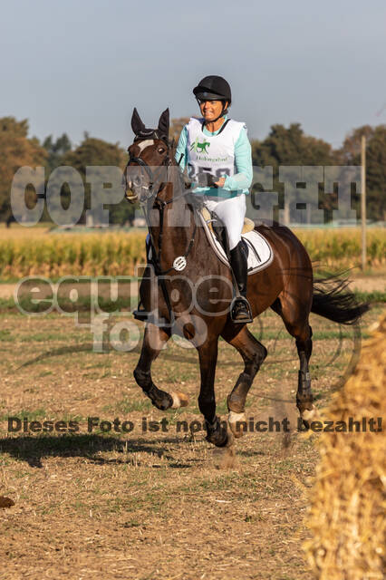 IGV Kleve - Vielseitigkeitsturnier