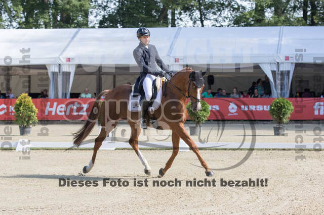 FEI European Championship Eventing 2017