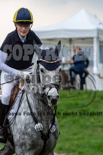 Goldene Schärpe 2020 - Pferde