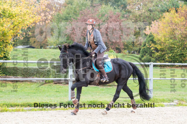 Training Tholi Tour