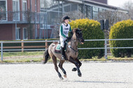 Eventing Langenfeld 2018