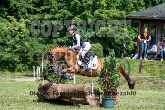 Goldene Schärpe 2021 - Ponys