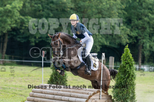 Goldene Schärpe 2021 - Ponys