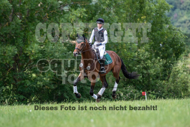 Bonn-Rodderberg Late-Entry-Vielseitigkeit (30.06.2020)