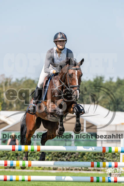 Kronenberg - De Peelbergen (August 2020)