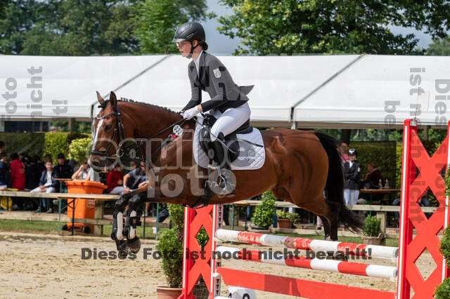 Goldene Schärpe 2021 - Ponys