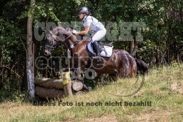 Late-Entry Vielseitigkeit Hamminkeln/Wesel (01.+02.08.2020)