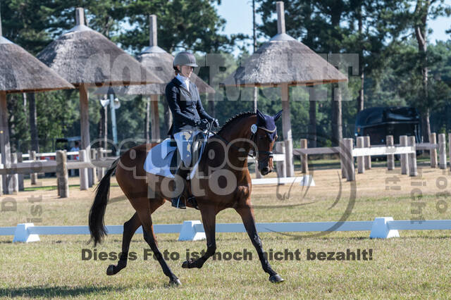 Kronenberg - De Peelbergen (August 2020)