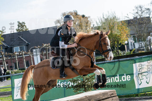 IGV Lehrgang der Sieger der Cups mit Frank Ostholt