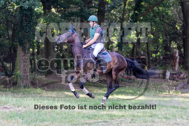 Late-Entry Vielseitigkeit Hamminkeln/Wesel (01.+02.08.2020)