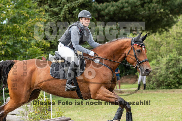Late-Entry-Vielseitigkeit Langenfeld (11.+13./14.06.2020)