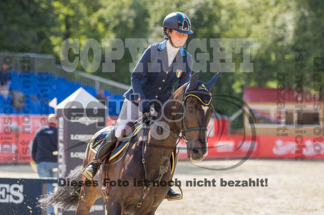 FEI European Championship