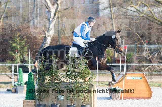 Eventing Langenfeld 2018