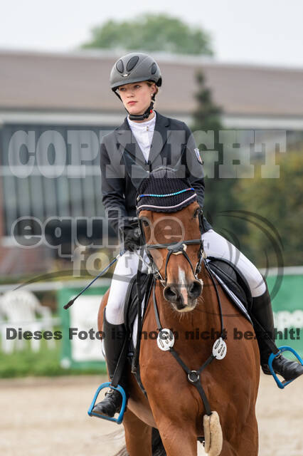 Goldene Schärpe 2020 - Pferde