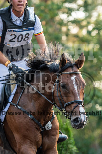 De Peelbergen (August 2020)