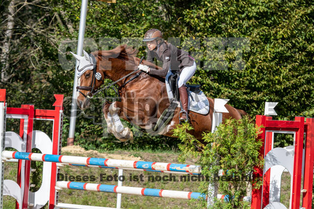 RFV Dinslaken-Hiesfeld (Herbstturnier)
