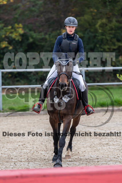 Goldene Schärpe 2020 - Pferde