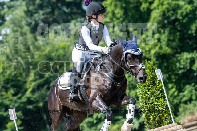 Goldene Schärpe 2021 - Ponys