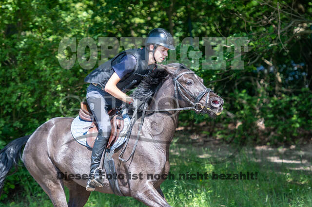 Test of Choise Langenfeld (29.+30.05.2021)