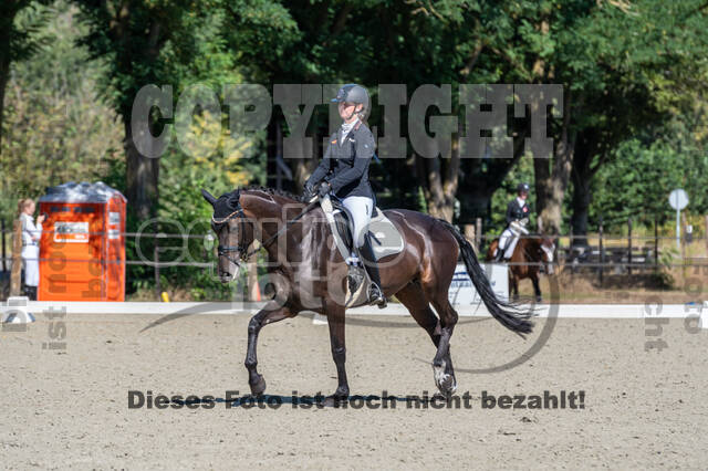 Kronenberg - De Peelbergen (August 2020)