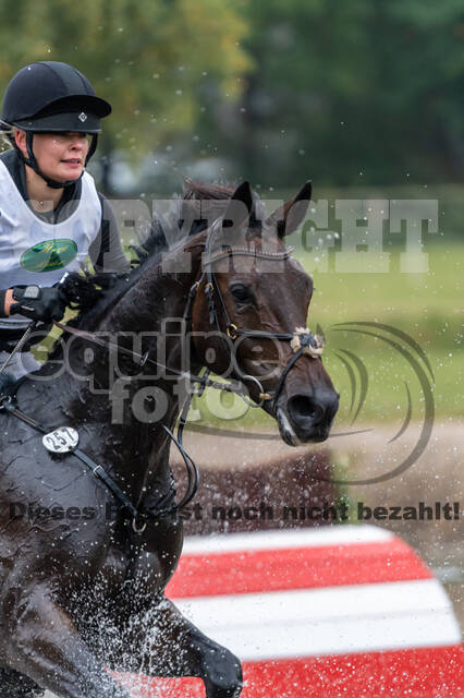 Deutsche Meisterschaft Vielseitigkeit (Luhmühlen)