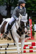 Goldene Schärpe 2021 - Ponys