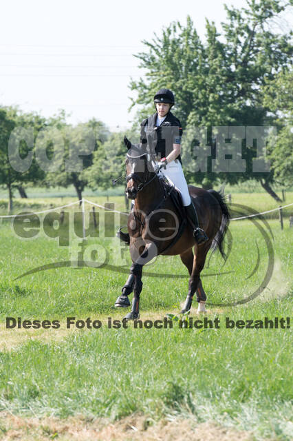 Vielseitigkeitsturnier ZRuFV von Lützow Hamminkeln