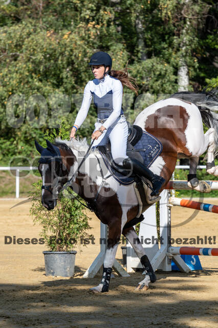 RFV Dinslaken-Hiesfeld (Herbstturnier)