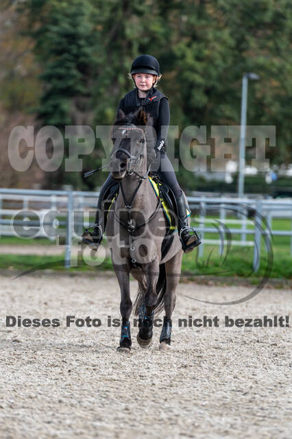IGV Lehrgang der Sieger der Cups mit Frank Ostholt