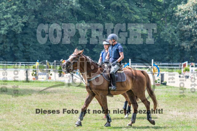 Hunter Geländetraining 10.07.2021 (Sonsbeck)