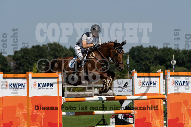 Kronenberg - De Peelbergen (August 2020)