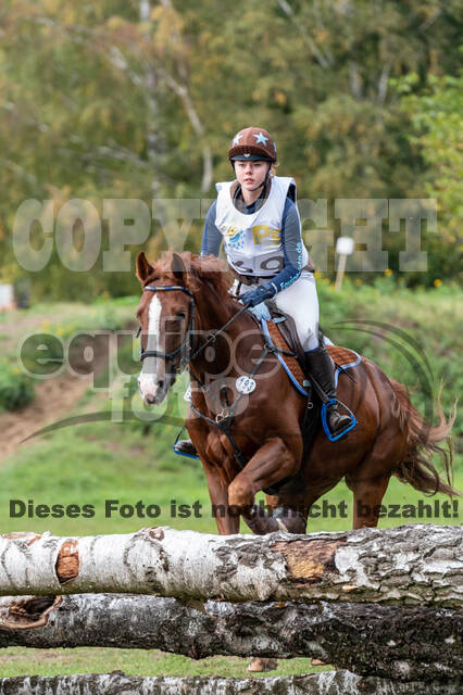 Vielseitigkeit RSV Wesel Obrighoven (26.+27.09.2020)