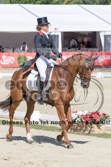 FEI European Championship Eventing 2017