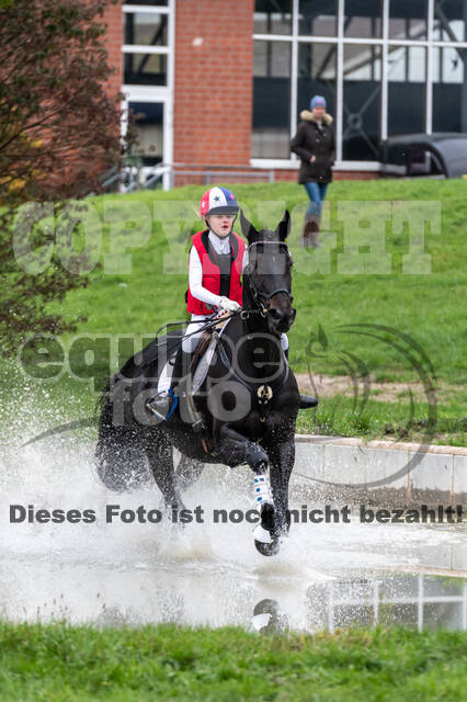Goldene Schärpe 2020 - Pferde