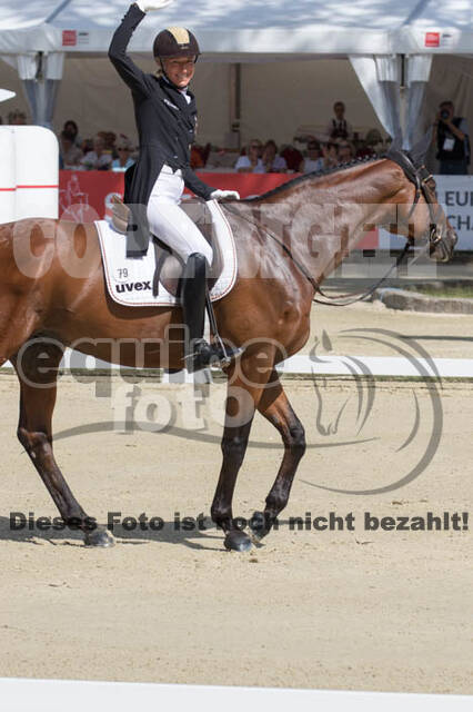 FEI European Championship Eventing 2017