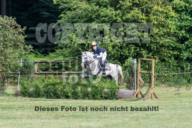 Goldene Schärpe 2021 - Ponys