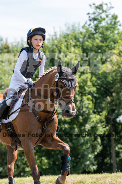 Goldene Schärpe 2021 - Ponys