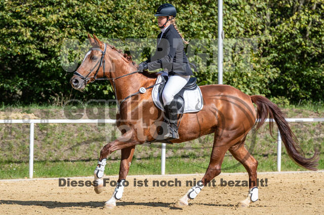 RFV Dinslaken-Hiesfeld (Herbstturnier)