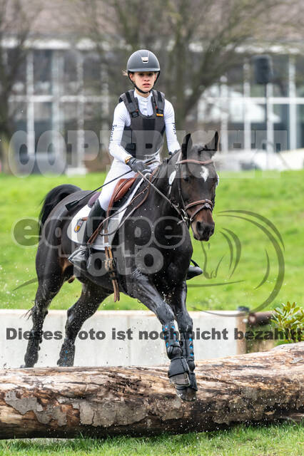 Goldene Schärpe 2020 - Pferde