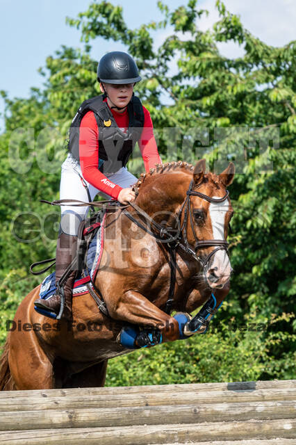 Goldene Schärpe 2021 - Ponys