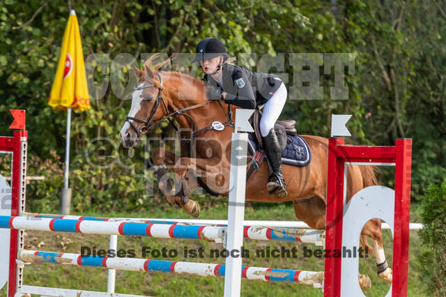 RFV Dinslaken-Hiesfeld (Herbstturnier)