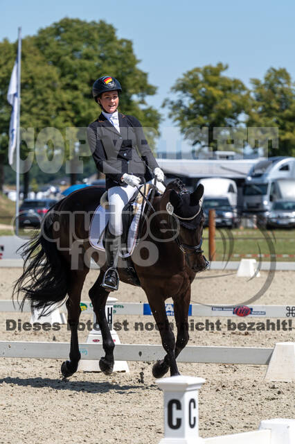 Kronenberg - De Peelbergen (August 2020)