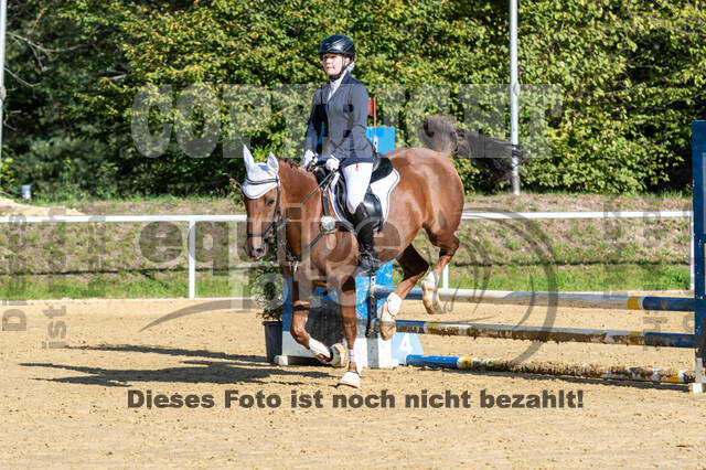 RFV Dinslaken-Hiesfeld (Herbstturnier)